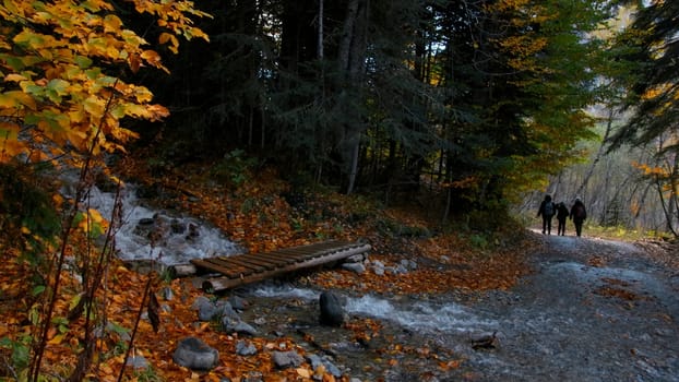 Beautiful stream in the mountains, rocks overgrown with moss, colorful leaves. Creative. Hikers walking in autumn forest