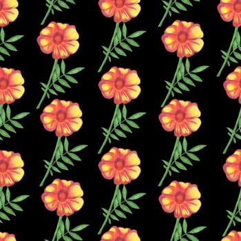 Marigold Flower Seamless Pattern. Hand Drawn Floral Digital Paper on Black Background.