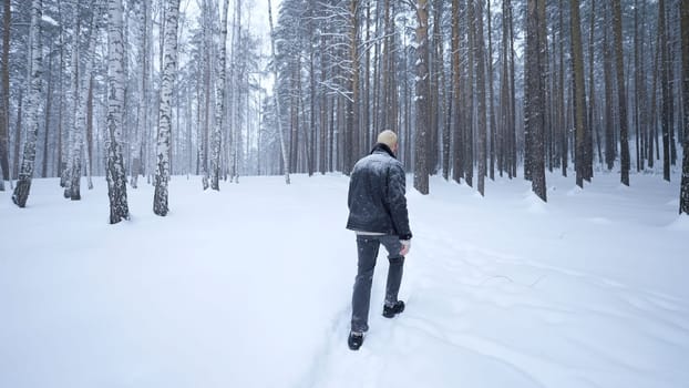 Stylish man walks in winter forest. Media. Rear view of stylish blond man walking in winter forest. Walk in winter forest in snowfall.