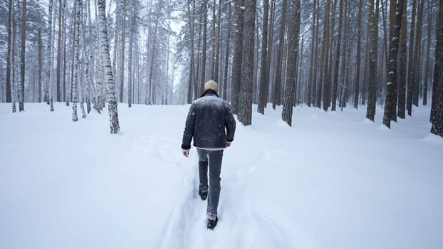 Stylish young man walking in winter forest. Media. Rear view of man walking in winter forest. Walking along path with falling snow in winter forest.