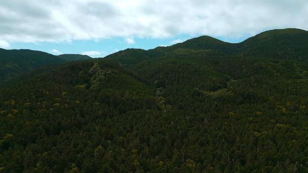 Top view of beautiful mountain landscape with forest green valley. Clip. Dense vegetation of green forest in mountains. Amazing mountains with dense green forest with its own ecosystem.