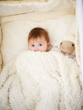 Baby, bed and blanket with sheep in home, above and healthy with growth, development and playing in morning. Infant, child and newborn with lamb doll, soft toys and relax in bedroom at family house.