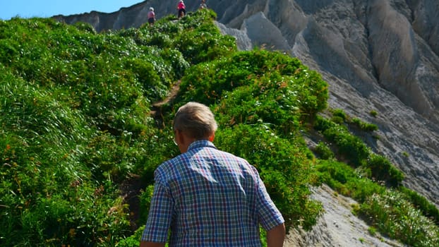 Grandfather on hike in mountains in summer. Clip. Elderly man walks along mountain path on sunny summer day. Rear view of elderly man walking on hike in hills with green grass.