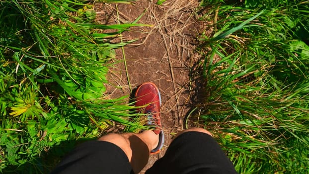 Close-up of man walking along path with green grass. Clip. Man in sports sneakers walks along mountain trail on sunny summer day. Sports walk in sneakers on narrow path with green grass.