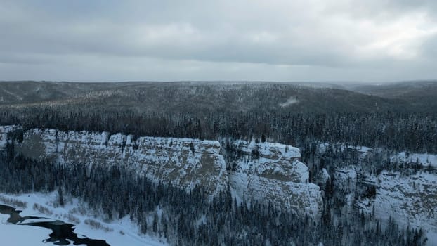 Winter forest landscape and pine tree forest growing on cliff over frozen river in snow. Clip. Breathtaking aerial view of natural landscape