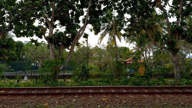 Railway tracks in forest, side view. Action. Countryside landscape and rail road