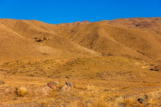 Kyrgyzstan landscape with a mountain range towering against a clear blue sky. The dried grasslands and gentle slopes create a natural horizon