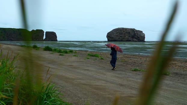 Tourist walks on seashore with algae. Clip. Man walks along seashore after storm on cloudy day. Boy with umbrella walks on coast on cloudy day.