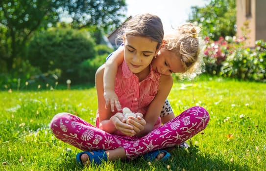 A child plays with a chicken. Selective focus. animal.