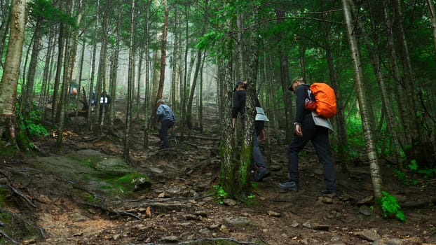 Group of tourists is walking on mountain trail in dense forest. Clip. Tourists climb mountain slope in green forest. Tourists walk along the trail up forest slope.