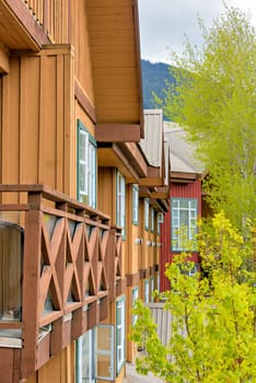 Windows and roofs of residential townhouses with growing-out trees on side.