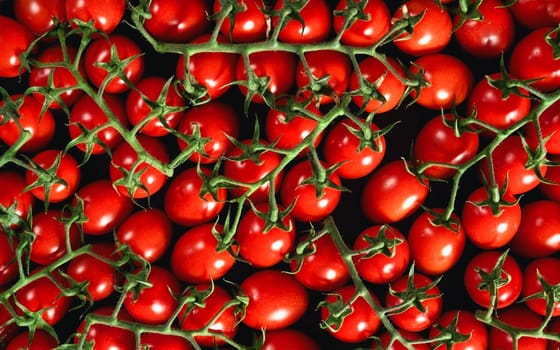 Heap of many cherry red tomatoes with green vines, view from above