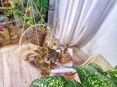Modern cozy beautiful room with a braided rope macrame swing, chair, green plants, small table and curtains. Interior and background. Location for photo shooting