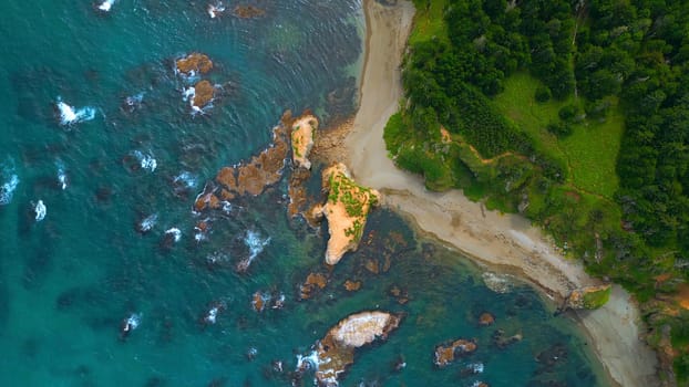 Top view of coast with rocks in water and forest. Clip. Amazing nature of coast with beautiful rocks and clear water. Wild coast with rocks in turquoise water and green forest on sunny day.