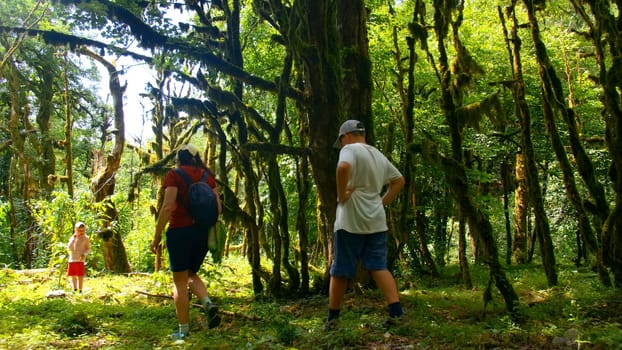 Hiking young woman and two boys walking together on the trail with backpack. Creative. Green beautiful vegetation and shining sun