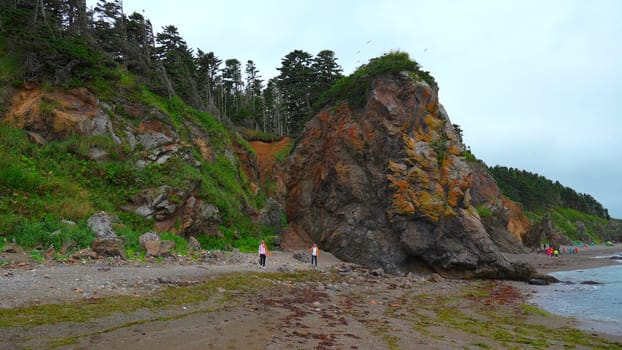 People walk on shore with rocks and trees. Clip. People are walking on beautiful beach with large rocky block. Walk on northern beach with rocks on cloudy summer day.