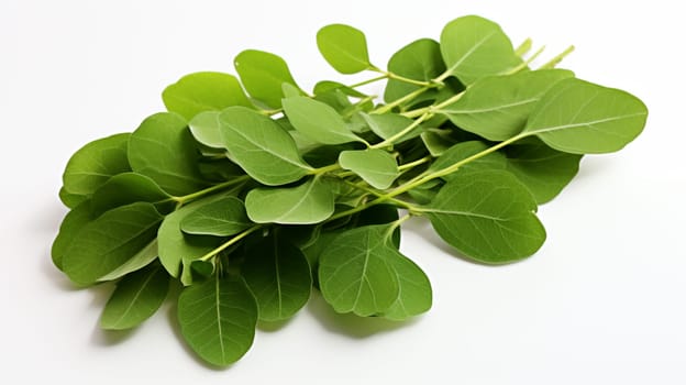 Green Moringa leaves  on white background with clipping path. Studio shot.Generate Ai