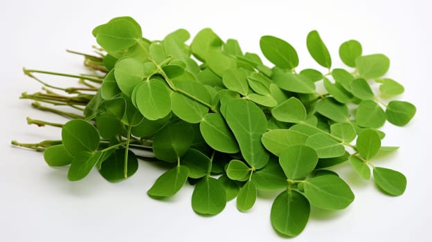 Green Moringa leaves  on white background with clipping path. Studio shot.Generate Ai