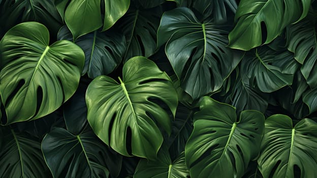 Tropical green leaves background. Monstera deliciosa plant. , Generate AI