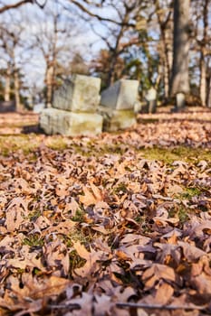 Autumn Blanket at Lindenwood Cemetery - A serene view of fallen leaves adorning the grounds of an iconic Indiana graveyard, hinting the cycle of life.