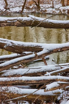 Serene Winter Scene at Cooks Landing County Park with Snow Covered Logs by Calm River, Reflecting Overcast Sky