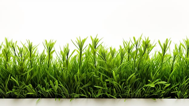 Green grass isolated on white background with copy space for your text. Generate AI