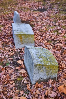 Time-worn gravestones amidst fall leaves in Lindenwood Cemetery, Fort Wayne, Indiana, evoking solemn history and life's natural cycle.