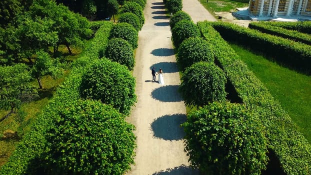 Top view of newlyweds in garden. Creative. Couple of newlyweds are walking in palace garden. Rich newlyweds on their wedding day in garden of ancient estate.