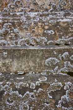 Ancient stone steps adorned with lichen at Lindenwood Cemetery, Indiana, narrating a tale of time, nature, and history.