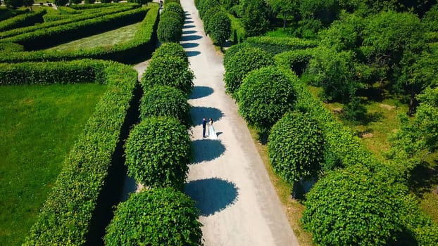 Beautiful couple of newlyweds walking in palace garden. Creative. Top view of newlyweds walking along alley in park. Palace Park with geometric paths and walking newlyweds.