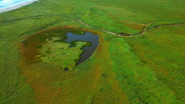 Small pond on green agricultural field in spring. Clip. Aerial of green meadow and tiny lake