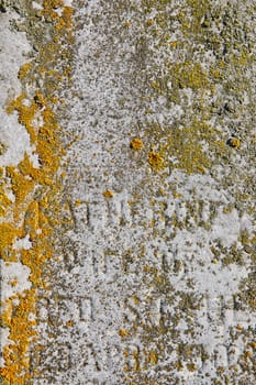 Close-up of textured tombstone surface in Fort Wayne, Indiana, adorned with vibrant lichen patterns, symbolizing resilience of nature.