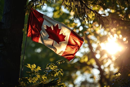 Canadian flag on a pole in the middle of the forest in the sun.