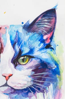 Portrait fragment Ragdoll Cat painted in watercolor on a white background in a realistic manner, colorful, rainbow. Ideal for teaching materials, books and nature-themed designs.