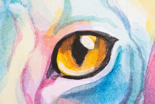 Eye of Cornish Rex Cat painted in watercolor on a white background in a realistic manner, colorful, rainbow. Ideal for teaching materials, books and nature-themed designs. Cat paint splash icons