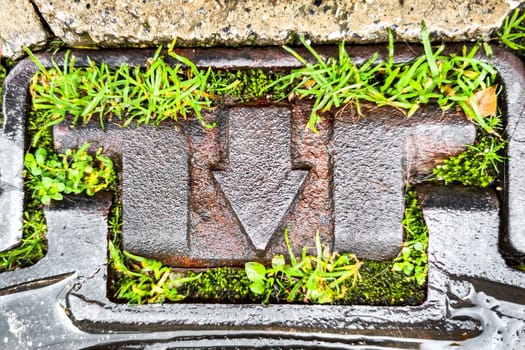 Metal Arrow Down Surrounded by Green Grass, Concept of Direction and Movement, and Path to Development and Progress, Symbol of Harmonious Fusion of Modern Technology and Nature.