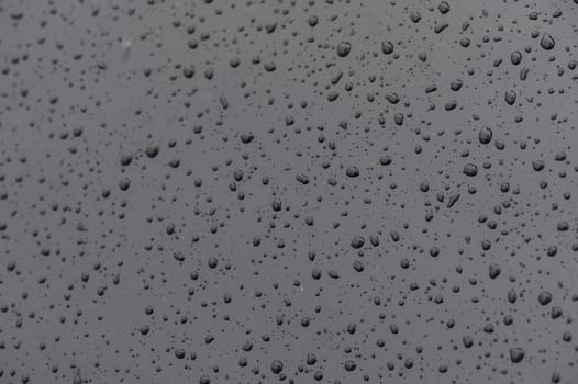 Full frame of the water droplets sliding on a black wet surface.