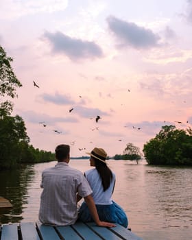 Sea Eagles at sunset in the mangrove of Chantaburi in Thailand, Red backed sea eagle , couple of men and women watching the sunset on a wooden pier, romantic moments during a summer trip