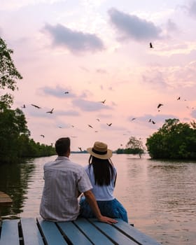 Sea Eagles at sunset in the mangrove of Chantaburi in Thailand, Red backed sea eagle , couple of men and women watching the sunset on a wooden pier, summer road trip