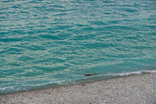 View of the beach in Nice, France, near the Promenade des Anglais