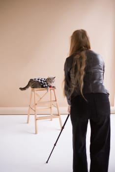 Photographer make photo A Scottish straight eared cat in costume and a red tie sits on a chair in a white video production studio, vertical