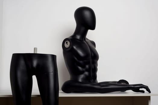 Gloss black color mannequin male disassembled into parts - image