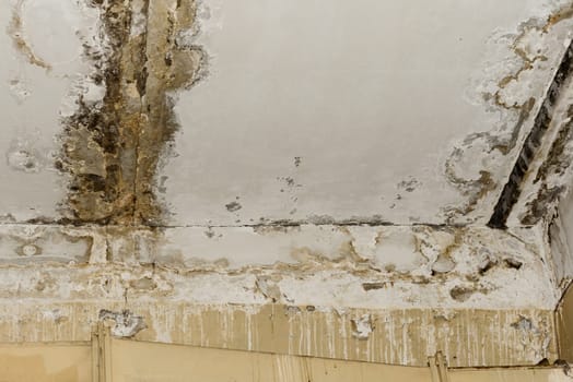 Consequences of leaking roof in the old office room - image