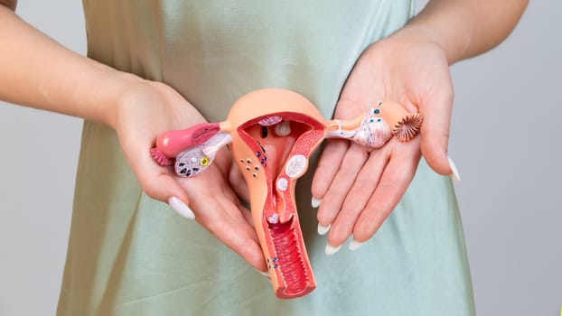 Asain woman holds model of female reproductive system in the hands. Help and care concept