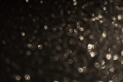 Christmas background. Festive abstract background with bokeh defocused lights and stars.
