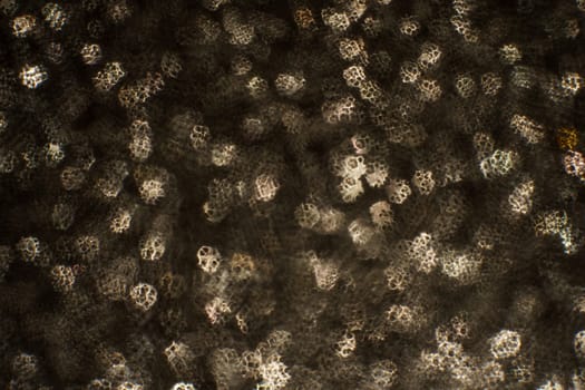 Christmas background. Festive abstract background with bokeh defocused lights and stars.