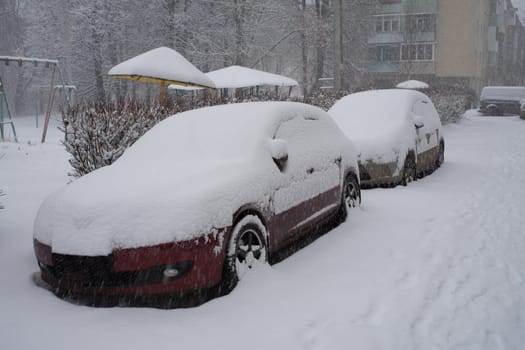 Cars covered in snow on a parking.