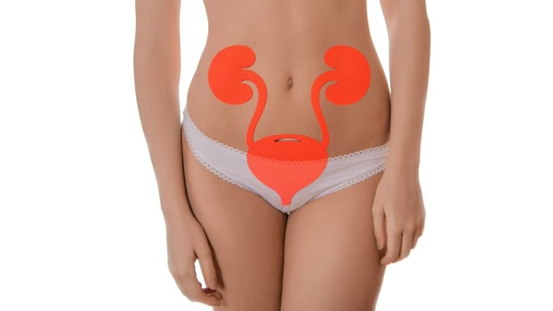 beautiful young woman body with Urinary system. Kidney disease, stones