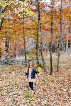 Little girl with yellow leaves in her hand walks through fallen leaves in the autumn forest, looking at her feet. High quality photo