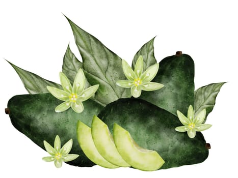 Avocado. Watercolor hand drawn isolate on white background. Composition of ripe exotic fruits, whole and slices, with leaves and flowers. For the design of vegetarian menu and recipe book. High quality illustration